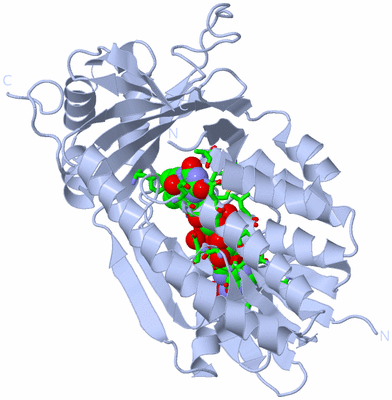 Image Biol. Unit 1 - sites