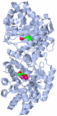 Image Biological Unit 2