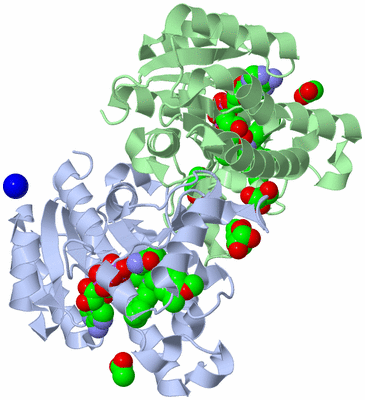 Image Biological Unit 1