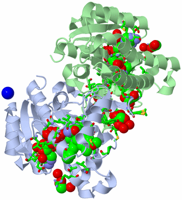 Image Biol. Unit 1 - sites