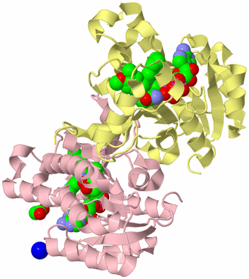 Image Biological Unit 2