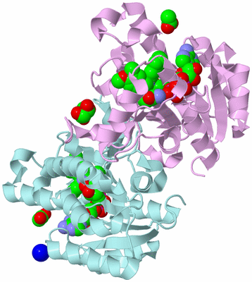 Image Biological Unit 3