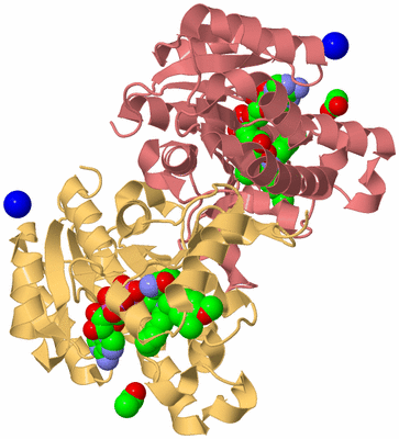 Image Biological Unit 4