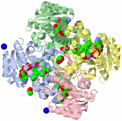 Image Biological Unit 5