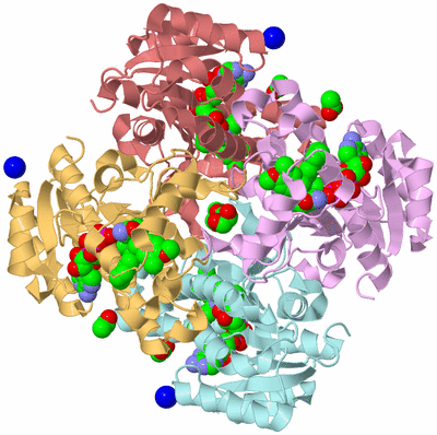 Image Biological Unit 6