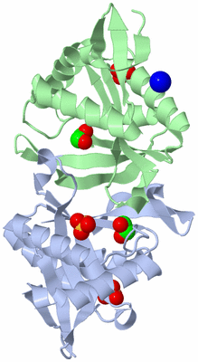 Image Biological Unit 1