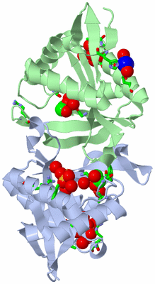 Image Biol. Unit 1 - sites