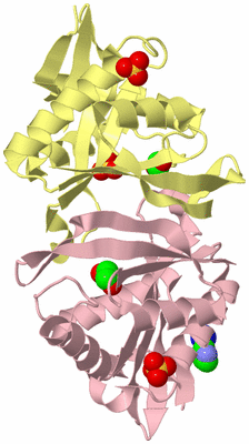 Image Biological Unit 2