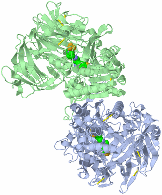 Image Asym./Biol. Unit