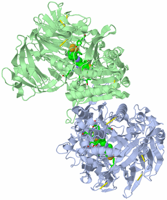 Image Asym./Biol. Unit - sites