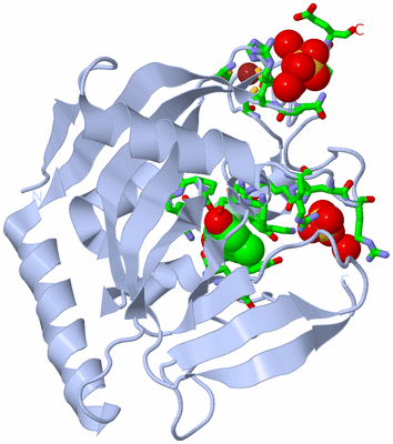 Image Biol. Unit 1 - sites