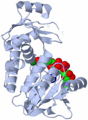 Image Biological Unit 1