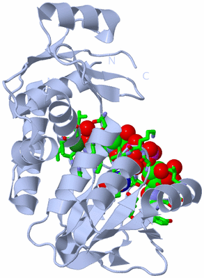 Image Biol. Unit 1 - sites