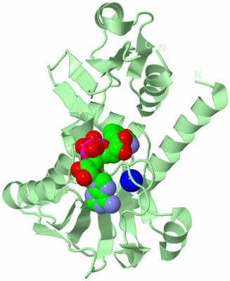 Image Biological Unit 2