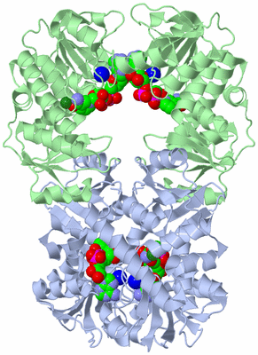 Image Biological Unit 3