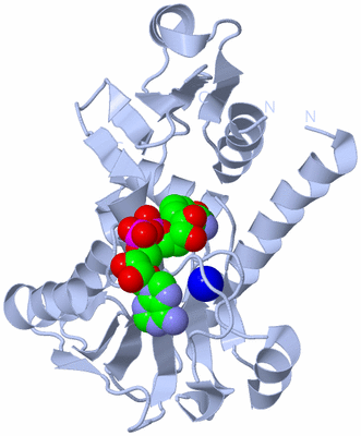 Image Biological Unit 1