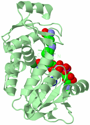 Image Biological Unit 2