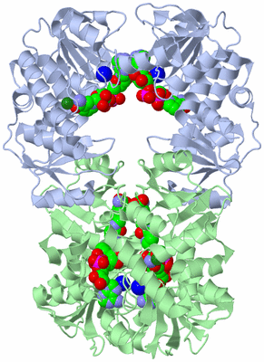 Image Biological Unit 3