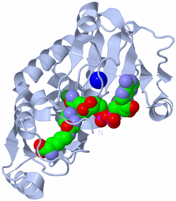 Image Biological Unit 1