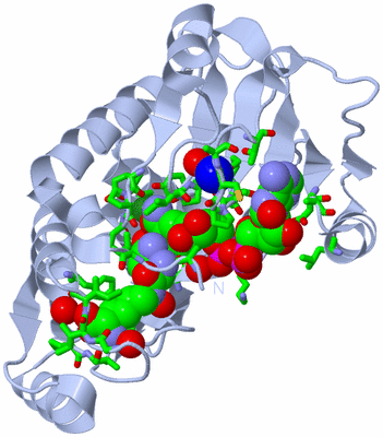 Image Biol. Unit 1 - sites