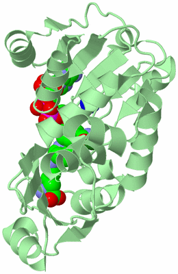 Image Biological Unit 2