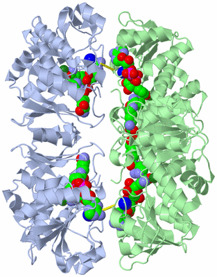 Image Biological Unit 3