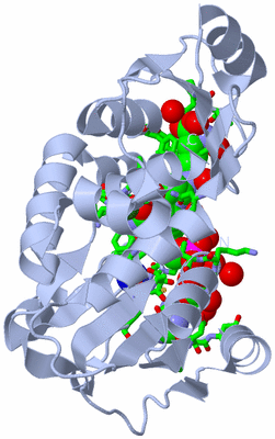 Image Biol. Unit 1 - sites