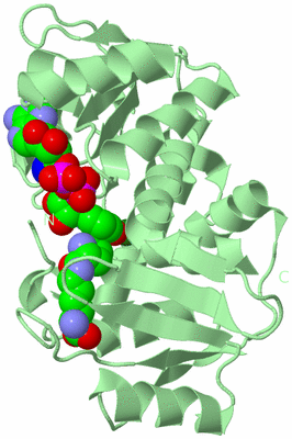 Image Biological Unit 2