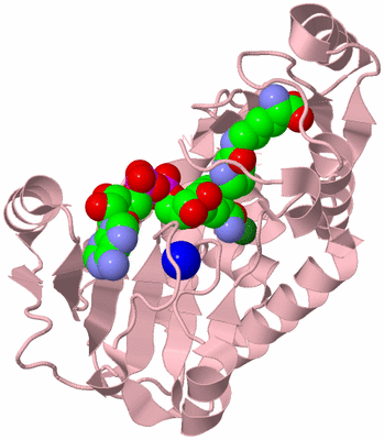 Image Biological Unit 3