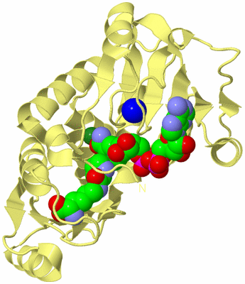 Image Biological Unit 4