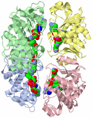 Image Biological Unit 5