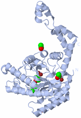 Image Biological Unit 1