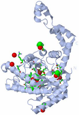 Image Biol. Unit 1 - sites