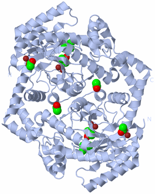 Image Biological Unit 2