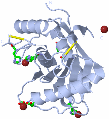 Image Biol. Unit 1 - sites