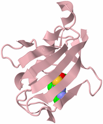 Image Biological Unit 3