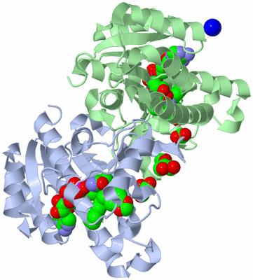 Image Biological Unit 1