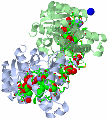 Image Biol. Unit 1 - sites