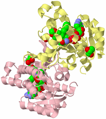 Image Biological Unit 2