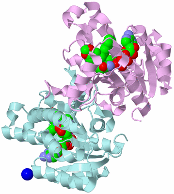 Image Biological Unit 3