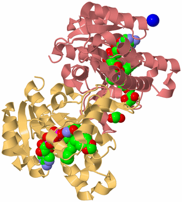 Image Biological Unit 4