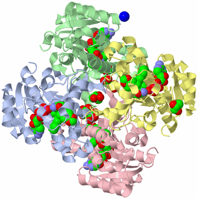 Image Biological Unit 5