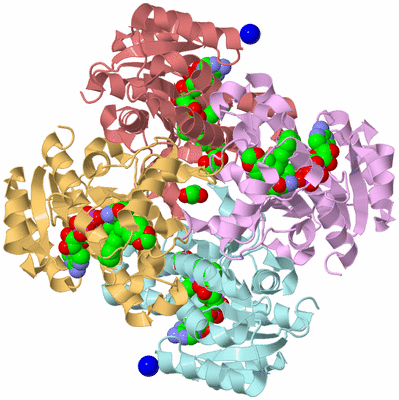 Image Biological Unit 6