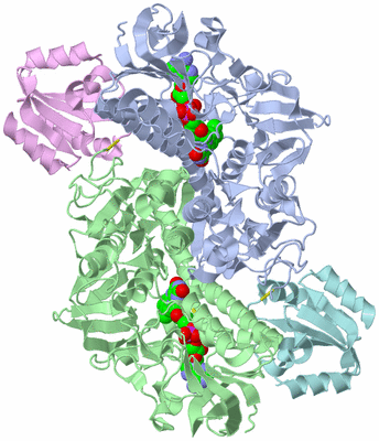 Image Biological Unit 1