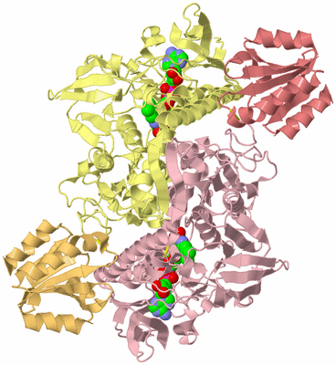 Image Biological Unit 2