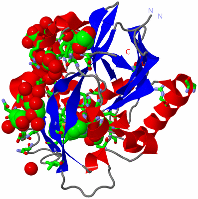 Image Asym./Biol. Unit - sites