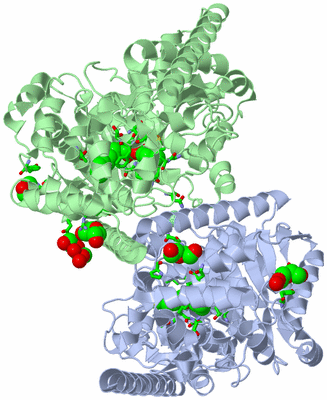 Image Asym./Biol. Unit - sites