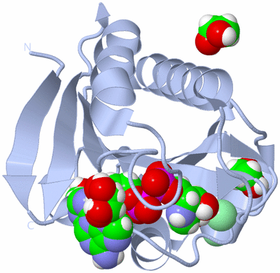 Image Biological Unit 1