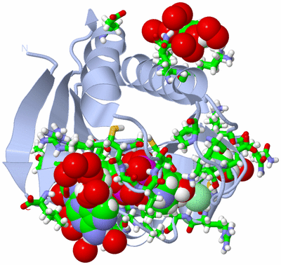 Image Biol. Unit 1 - sites