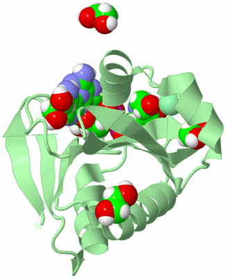 Image Biological Unit 2